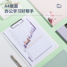 得力64519发泡PP竖款折页板夹(混)(个)