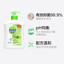 滴露Dettol健康抑菌洗手液植物呵护500g 抑菌99.9%