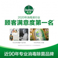  滴露Dettol健康抑菌洗手液自然清新500g 抑菌99.9%