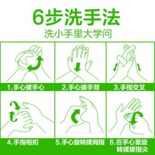 滴露Dettol 免洗抑菌洗手液 经典松木 200ml/瓶 泰国进口 免洗手 儿童家用 含酒精成分