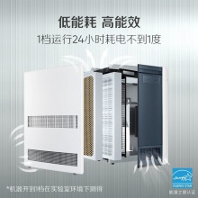 布鲁雅尔Blueair 空气净化器303+ 家用办公 室内轻音 去甲醛 除菌 雾霾 异味 二手烟 经典303+优选24-42平米