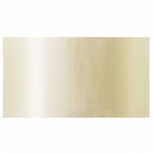 得力30333封箱胶带60mm×100y×45um(6卷/筒)(普透)