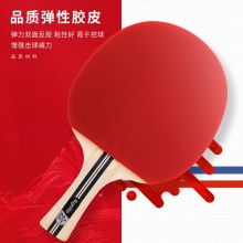 安格耐特F2318二星乒乓球拍(红+黑)(横拍)(单支装)