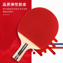 安格耐特F2328二星乒乓球拍(红+黑)(直拍)(单支装)