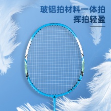 安格耐特F2103羽毛球拍(蓝+黄)(2支/副)(带三球)